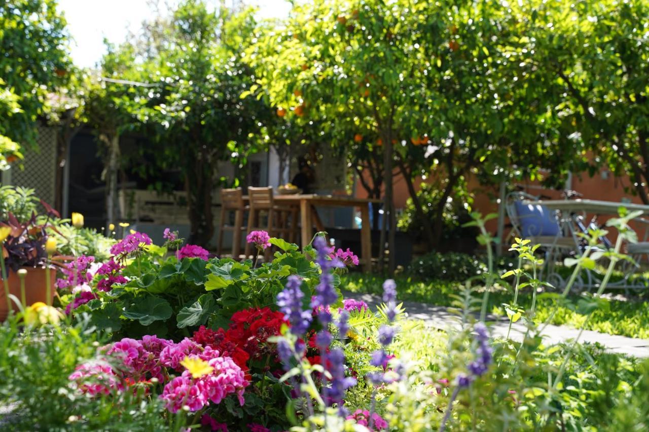 Alterra Vita Neos Marmaras Extérieur photo